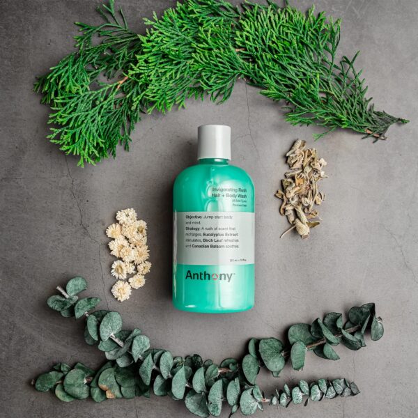 Anthony Mens Body Wash and Shampoo: Invigorating Rush 2-In-1 Liquid Gel Soap & Hair Shampoo ? Pine Wood Scent Contains Eucalyptus Extract, Canadian Ba - Image 3