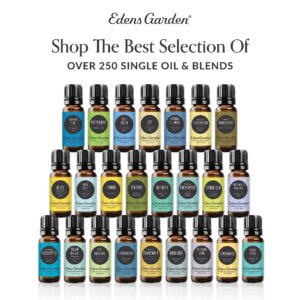 Edens Garden Fir- Silver Essential Oil, 100% Pure Therapeutic Grade, Undiluted Natural Aromatherapy- 30 ml - Image 7