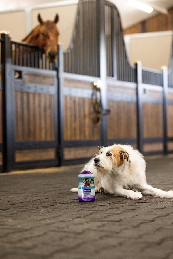 Farnam Vetrolin Wonder Blue Gentle Moisturizing Shampoo for Horses, Livestock and Dogs Blue 32 - Image 9