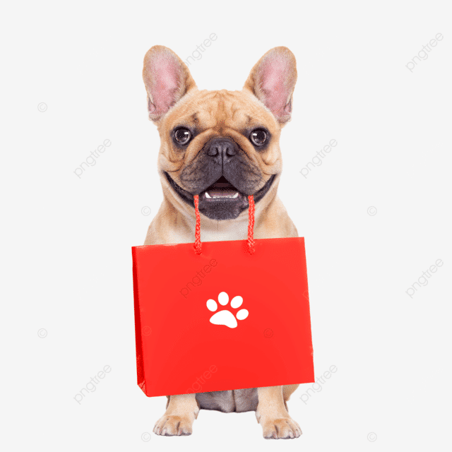 Pet Supplies