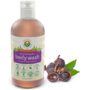 Nature Sustained Organic Body Wash & Face Wash ? Raw & Wildcrafted with Probiotics, Soapberry Formula for Eczema & Psoriasis - Wild Plants Selected for Sensitive & Dry Skin, 9oz, Original