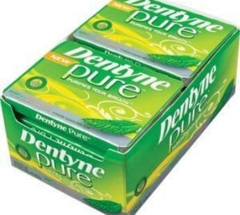 Dentyne Pure Gum Sugar Free Mint Melon, 10×9 Pc
