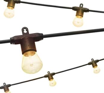 Enbrighten LED Bistro Outdoor String Lights, 24ft, 12 Shatter Resistant Lifetime Bulbs, 2200K Warm White, Weather Resistant, Indoor/Outdoor, Commercial Grade, Perfect for Backyard, Porch, Patio, 38356