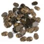 BEADSLAND Hotfix Skull Studs,12mmx16mm Flat Back Iron On Skull Flatback Glue 100pcs (Antic Bronze)