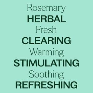 Plant Therapy Rosemary Essential Oil for Hair Growth, 100% Pure, Undiluted, Natural Aromatherapy for Diffuser & Rosemary Oil for Hair & Scalp, Therapeutic Grade 10 mL (1/3 oz) - Image 4