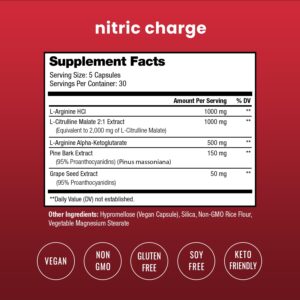 Nitric Oxide Supplement | L-Arginine, L Citrulline Malate, AAKG, Pine Bark, Grape Seed Extract | Extra Strength Nitric Oxide Booster | Nitric Oxide Pills for Men & Women | Strength, Energy, Blood Flow - Image 2