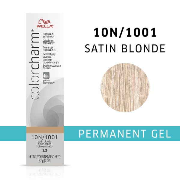 COLORCHARM Permanent Gel Hair Color for Gray Coverage, 10N Satin Blonde - Image 2