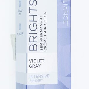 Ion Violet Gray Semi Permanent Hair Color Violet Gray - Image 2