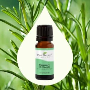 Plant Therapy Rosemary Essential Oil for Hair Growth, 100% Pure, Undiluted, Natural Aromatherapy for Diffuser & Rosemary Oil for Hair & Scalp, Therapeutic Grade 10 mL (1/3 oz) - Image 3