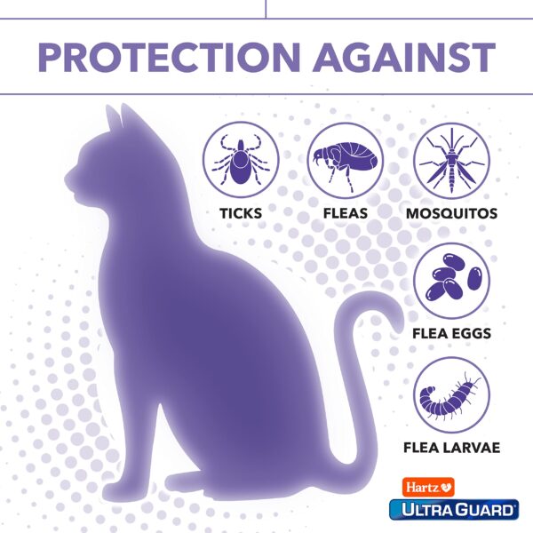 Hartz UltraGuard Plus Water Resistant 7 Month Protection Breakaway Flea & Tick Collar for Cats (3270094268) - Image 5