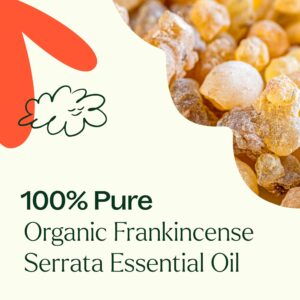 Plant Therapy Organic Frankincense Serrata Essential Oil 100% Pure, USDA Certified Organic, Undiluted, Natural Aromatherapy, Therapeutic Grade 100 mL (3.3 oz) - Image 6