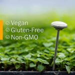 Herb Pharm Certified Organic Ashwagandha Extract for Energy and Vitality, Grain, Organic Cane Alcohol, 1 Ounce - Image 8