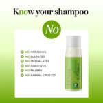 Clarifying Shampoo for Build Up & Oily Hair - Tea Tree Shampoo for Men and Women with Rosemary Essential Oil for Oily Hair and Scalp - Color Safe Vegan Sulfate Silicone & Paraben Free (10 Fl Oz) - Image 5