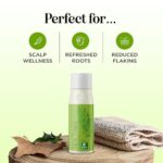 Clarifying Shampoo for Build Up & Oily Hair - Tea Tree Shampoo for Men and Women with Rosemary Essential Oil for Oily Hair and Scalp - Color Safe Vegan Sulfate Silicone & Paraben Free (10 Fl Oz) - Image 9