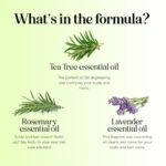 Clarifying Shampoo for Build Up & Oily Hair - Tea Tree Shampoo for Men and Women with Rosemary Essential Oil for Oily Hair and Scalp - Color Safe Vegan Sulfate Silicone & Paraben Free (10 Fl Oz) - Image 6