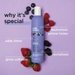 Milk_shake Silver Shine Purple Shampoo for Blonde Hair - Blonde Toner for Brassy Hair 100% SLES-Free - Image 4