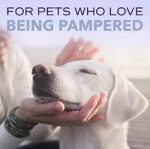 TropiClean SPA Lavish Dog Shampoo | Dog Whitening Shampoo For White Coats & All Other Coat Types | Naturally Derived Salon Grade Ingredients | Made in the USA | 16oz - Image 8