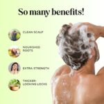 Clarifying Shampoo for Build Up & Oily Hair - Tea Tree Shampoo for Men and Women with Rosemary Essential Oil for Oily Hair and Scalp - Color Safe Vegan Sulfate Silicone & Paraben Free (16 Fl Oz) - Image 3