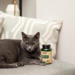 NOW Pet Health, Pet Relaxant Supplement, Formulated for Cats & Dogs, NASC Certified, 90 Chewable Tablets - Image 6