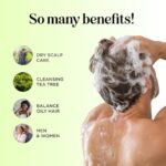 Clarifying Shampoo for Build Up & Oily Hair - Tea Tree Shampoo for Men and Women with Rosemary Essential Oil for Oily Hair and Scalp - Color Safe Vegan Sulfate Silicone & Paraben Free (10 Fl Oz) - Image 4