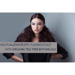 GIOVANNI Tea Tree Triple Treat Invigorating Shampoo - Cooling Peppermint, Eucalyptus & Rosemary, Strengthen & Rejuvenate Hair & Scalp, Salon Quality, Paraben Free, Tea Tree Shampoo - 8.5 oz (3 Pack) - Image 12