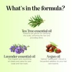 Clarifying Shampoo for Build Up & Oily Hair - Tea Tree Shampoo for Men and Women with Rosemary Essential Oil for Oily Hair and Scalp - Color Safe Vegan Sulfate Silicone & Paraben Free (16 Fl Oz) - Image 6