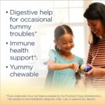 Renew Life Kids Probiotic Gummies, Supports Digestive & Immune Health, Prebiotics & Probiotics, Raspberry, 30 Gummies - Image 3