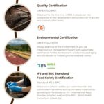 Danesi Caffe Italian Coffee Beans - Whole Roasted Coffee Beans for Espresso - Espresso Coffee Beans & Medium Roast Whole Bean - Coffee Bean - Coffee Beans Espresso - Coffee Whole Bean - Gold (2.2lb) - Image 5