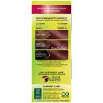 Garnier Nutrisse Nourishing Hair Color Creme, 452 Dark Reddish Brown (Packaging May Vary) - Image 4