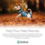 Suitical Recovery Suit for Dogs | Spay and Neutering Dog Surgery Recovery Suit for Male or Female | Soft Fabric for Skin Conditions | S | Neck to Tail 16.9?- 20.1? | Pink Camouflage - Image 6