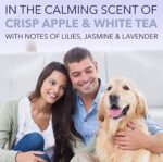 TropiClean SPA Lavish Dog Shampoo | Dog Whitening Shampoo For White Coats & All Other Coat Types | Naturally Derived Salon Grade Ingredients | Made in the USA | 16oz - Image 4