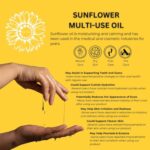 Pur O3 Fully Ozonated Sunflower Oil - Pure, Natural, Organic Ozonated Oil - Sunflower Oil Skin Care from Oxygenated, Ozonized Sunflower Oil - Ozone Oil in a Glass Jar, 2 oz - Image 3