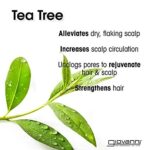 GIOVANNI Tea Tree Triple Treat Invigorating Shampoo - Cooling Peppermint, Eucalyptus & Rosemary, Strengthen & Rejuvenate Hair & Scalp, Salon Quality, Paraben Free, Tea Tree Shampoo - 8.5 oz (3 Pack) - Image 3