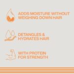 Redken Brews Daily Shampoo For Men | Lightweight Hydrating Hair Cleanser | Add Moisture and Shine to Dry Hair | For All Men's Hair Types - Image 3