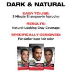 SoftSheen-Carson Dark & Natural Hair Color for Men 5 Minutes, Natural Looking Gray Coverage for Up To 6 Weeks, Shampoo-in Permanent Hair Dye, Jet Black, Ammonia Free, Natural Black - Image 7