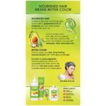 Garnier Nutrisse Nourishing Hair Color Creme, 434 Deep Chestnut Brown (Chocolate Chestnut) (Packaging May Vary) - Image 2