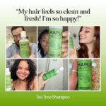 Clarifying Shampoo for Build Up & Oily Hair - Tea Tree Shampoo for Men and Women with Rosemary Essential Oil for Oily Hair and Scalp - Color Safe Vegan Sulfate Silicone & Paraben Free (10 Fl Oz) - Image 2