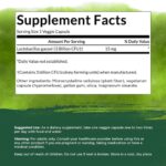 Swanson Lactobacillus Gasseri - Probiotic Supplement Supporting Digestive Health with 3 Billion CFU - Design-Release Satiety & Fat Metabolism Support - (60 Veggie Capsules) 2 Bottles - Image 5