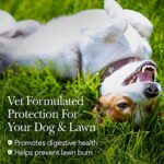 Nutri-Vet Grass Guard Chewables For Dogs - Prevent Lawn Burn From Dog Urine - 365 Count - Image 3