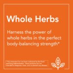 NOW Supplements, Cayenne (Capsicum annuum) 500 mg, Herbal Support, for Digestive Health, 250 Veg Capsules - Image 6