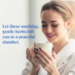 The Republic of Tea, Get Some Zzz?s ? No. 5 Herb Tea for Rest, No Caffeine, 250 Tea Bags - Image 3