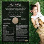 Nutri-Vet Grass Guard Chewables For Dogs - Prevent Lawn Burn From Dog Urine - 365 Count - Image 7