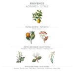 Panier des Sens - Liquid Hand Soap - Provence Hand Wash - French Marseille Moisturizing Hand Soap with Coconut Oil - Refillable Kitchen & Bathroom Hand Soap - 97% Natural Ingredients -16.9 Fl.oz - Image 3