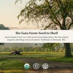 Gaia Herbs Rhodiola Rosea - Stress Support Supplement Traditionally for Supporting Healthy Stamina and Endurance - With Siberian Rhodiola Root Extract - 120 Vegan Liquid Phyto-Capsules (60-Day Supply) - Image 9