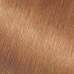 Garnier Nutrisse Nourishing Hair Color Creme, 73 Dark Golden Blonde (Honey Dip) (Packaging May Vary) - Image 2