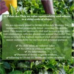 Palais des Th?s - Grand Jasmine Chung Feng - Fine Premium Gourmet Vegan Green Tea - 20 Count Biodegradable Tea Bags Box - Image 4