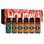 Eternal Essence Oils Holiday Fragrance Oil Gift Set - 6 Long Lasting Scents in 10mL Glass Bottles - Oils for Diffusers, Soap & Candle Making, Aromatherapy - Includes Candy Cane, Pumpkin Patch, & More