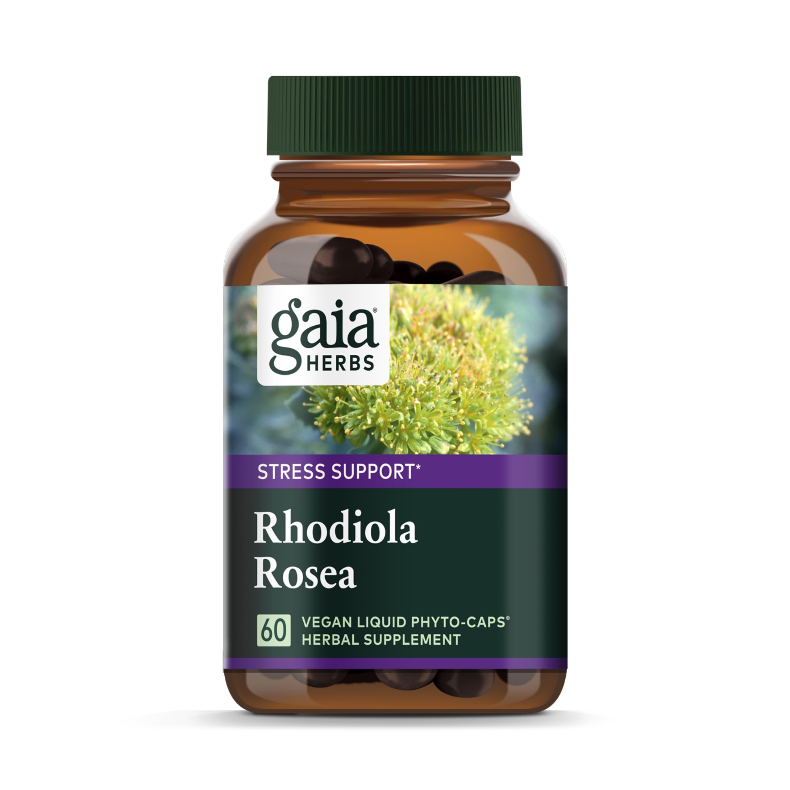71HTfGjBWEL.jpg Gaia Herbs Rhodiola Rosea - Stress Support Supplement Traditionally for Supporting Healthy Stamina and Endurance - with Siberian Rhodiola Root Extract - 60 Vegan Liquid Phyto-Capsules (30-Day Supply) - Image 1