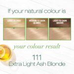 Garnier Nutrisse Nourishing Hair Color Creme, 111 Extra-Light Ash Blonde (White Chocolate) (Packaging May Vary) - Image 2