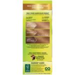 Garnier Nutrisse Nourishing Hair Color Creme, 73 Dark Golden Blonde (Honey Dip) (Packaging May Vary) - Image 3